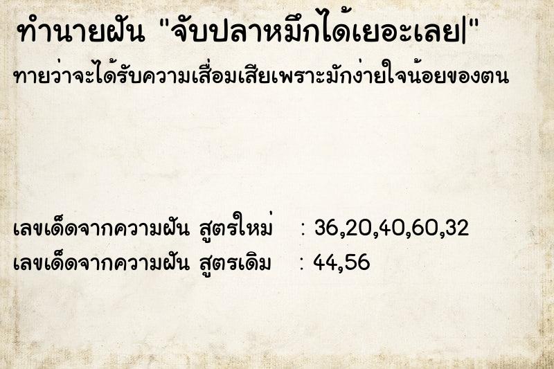 ทำนายฝัน จับปลาหมึกได้เยอะเลย|